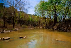 property photo for Stone Creek Phase II Tract 216, 5.87 acres for sale in Latimer County, Oklahoma
