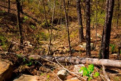 property photo for Stone Creek Phase II Tract 216, 5.87 acres for sale in Latimer County, Oklahoma