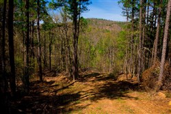 Stone Creek Phase II Tract 217