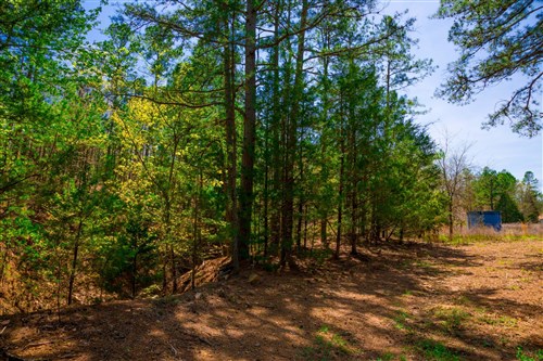 Stone Creek Phase II Tract 217