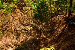 Stone Creek Phase II Tract 217