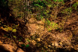 Stone Creek Phase II Tract 217