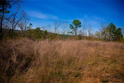 property photo for Stone Creek Phase II Tract 218, 8.72 acres for sale in Latimer County, Oklahoma