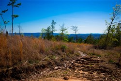 property photo for Stone Creek Phase II Tract 218, 8.72 acres for sale in Latimer County, Oklahoma