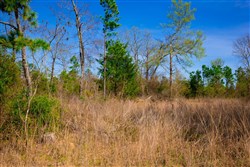 property photo for Stone Creek Phase II Tract 219, 9.6 acres for sale in Latimer County, Oklahoma