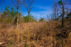 property photo for Stone Creek Phase II Tract 219, 9.6 acres for sale in Latimer County, Oklahoma