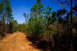 property photo for Stone Creek Phase II Tract 219, 9.6 acres for sale in Latimer County, Oklahoma