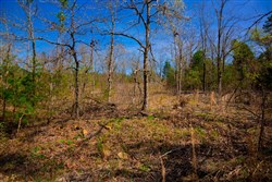property photo for Stone Creek Phase II Tract 219, 9.6 acres for sale in Latimer County, Oklahoma