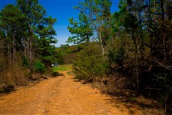 property photo for Stone Creek Phase II Tract 219, 9.6 acres for sale in Latimer County, Oklahoma