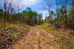 property photo for Stone Creek Phase II Tract 220, 5.3 acres for sale in Latimer County, Oklahoma