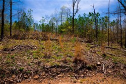 property photo for Stone Creek Phase II Tract 220, 5.3 acres for sale in Latimer County, Oklahoma