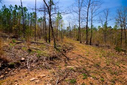 property photo for Stone Creek Phase II Tract 220, 5.3 acres for sale in Latimer County, Oklahoma