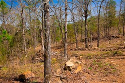 property photo for Stone Creek Phase II Tract 220, 5.3 acres for sale in Latimer County, Oklahoma