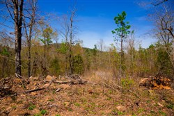 property photo for Stone Creek Phase II Tract 220, 5.3 acres for sale in Latimer County, Oklahoma