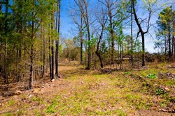 property photo for Stone Creek Phase II Tract 220, 5.3 acres for sale in Latimer County, Oklahoma