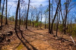 Stone Creek Phase II Tract 221