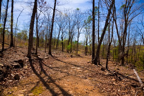 Stone Creek Phase II Tract 221