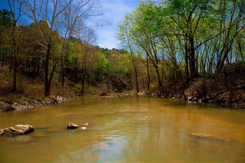 Stone Creek Phase II Tract 221