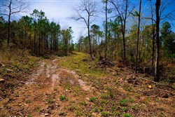 property photo for Stone Creek Phase II Tract 222, 5.17 acres for sale in Latimer County, Oklahoma
