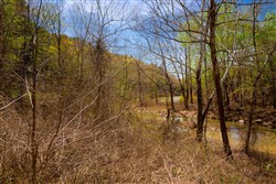 property photo for Stone Creek Phase II Tract 222, 5.17 acres for sale in Latimer County, Oklahoma