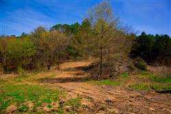 Stone Creek Phase II Tract 223