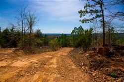 property photo for Stone Creek Phase II Tract 224, 5.86 acres for sale in Latimer County, Oklahoma