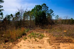 property photo for Stone Creek Phase II Tract 224, 5.86 acres for sale in Latimer County, Oklahoma