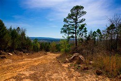 property photo for Stone Creek Phase II Tract 224, 5.86 acres for sale in Latimer County, Oklahoma