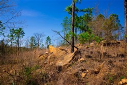 property photo for Stone Creek Phase II Tract 224, 5.86 acres for sale in Latimer County, Oklahoma