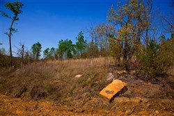 property photo for Stone Creek Phase II Tract 224, 5.86 acres for sale in Latimer County, Oklahoma