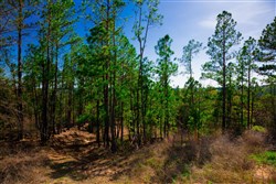 property photo for Stone Creek Phase II Tract 225, 6.04 acres for sale in Latimer County, Oklahoma