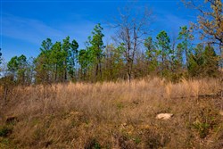 property photo for Stone Creek Phase II Tract 225, 6.04 acres for sale in Latimer County, Oklahoma