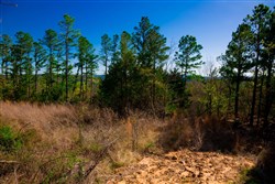 property photo for Stone Creek Phase II Tract 225, 6.04 acres for sale in Latimer County, Oklahoma