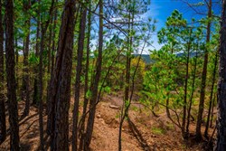 property photo for Stone Creek Phase II Tract 225, 6.04 acres for sale in Latimer County, Oklahoma