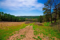 property photo for Stone Creek Phase II Tract 226, 43.54 acres for sale in Latimer County, Oklahoma