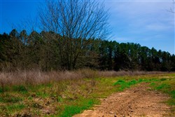 property photo for Stone Creek Phase II Tract 226, 43.54 acres for sale in Latimer County, Oklahoma