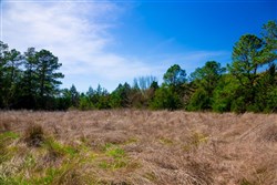 property photo for Stone Creek Phase II Tract 226, 43.54 acres for sale in Latimer County, Oklahoma