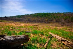 property photo for Stone Creek Phase II Tract 226, 43.54 acres for sale in Latimer County, Oklahoma