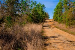 property photo for Stone Creek Phase II Tract 227, 10.14 acres for sale in Latimer County, Oklahoma