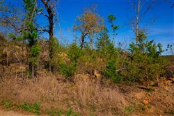 property photo for Stone Creek Phase II Tract 227, 10.14 acres for sale in Latimer County, Oklahoma