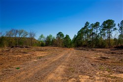 property photo for Stone Creek Phase II Tract 227, 10.14 acres for sale in Latimer County, Oklahoma