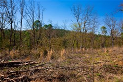 property photo for Stone Creek Phase II Tract 227, 10.14 acres for sale in Latimer County, Oklahoma