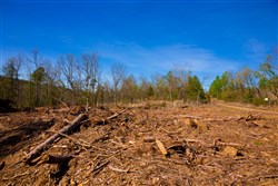 property photo for Stone Creek Phase II Tract 227, 10.14 acres for sale in Latimer County, Oklahoma