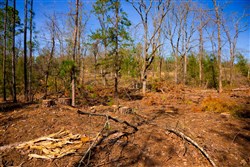 property photo for Stone Creek Phase II Tract 227, 10.14 acres for sale in Latimer County, Oklahoma