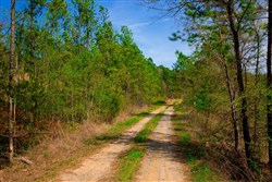 property photo for Stone Creek Phase II Tract 228, 8.87 acres for sale in Latimer County, Oklahoma