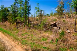 property photo for Stone Creek Phase II Tract 228, 8.87 acres for sale in Latimer County, Oklahoma