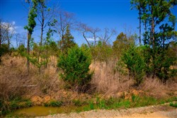 property photo for Stone Creek Phase II Tract 228, 8.87 acres for sale in Latimer County, Oklahoma