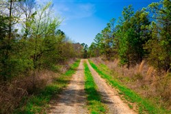 property photo for Stone Creek Phase II Tract 228, 8.87 acres for sale in Latimer County, Oklahoma