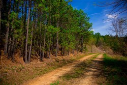 property photo for Stone Creek Phase II Tract 229, 5.63 acres for sale in Latimer County, Oklahoma