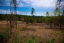 property photo for Stone Creek Phase II Tract 229, 5.63 acres for sale in Latimer County, Oklahoma